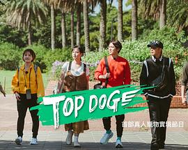 精东污视频《TOP DOG》免费在线观看