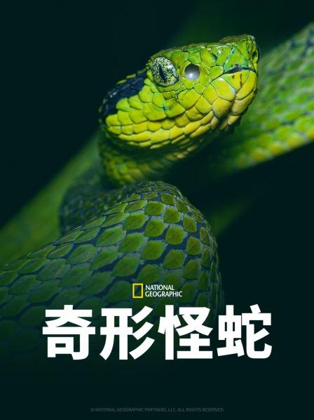 糖心APP《奇形怪蛇》免费在线观看